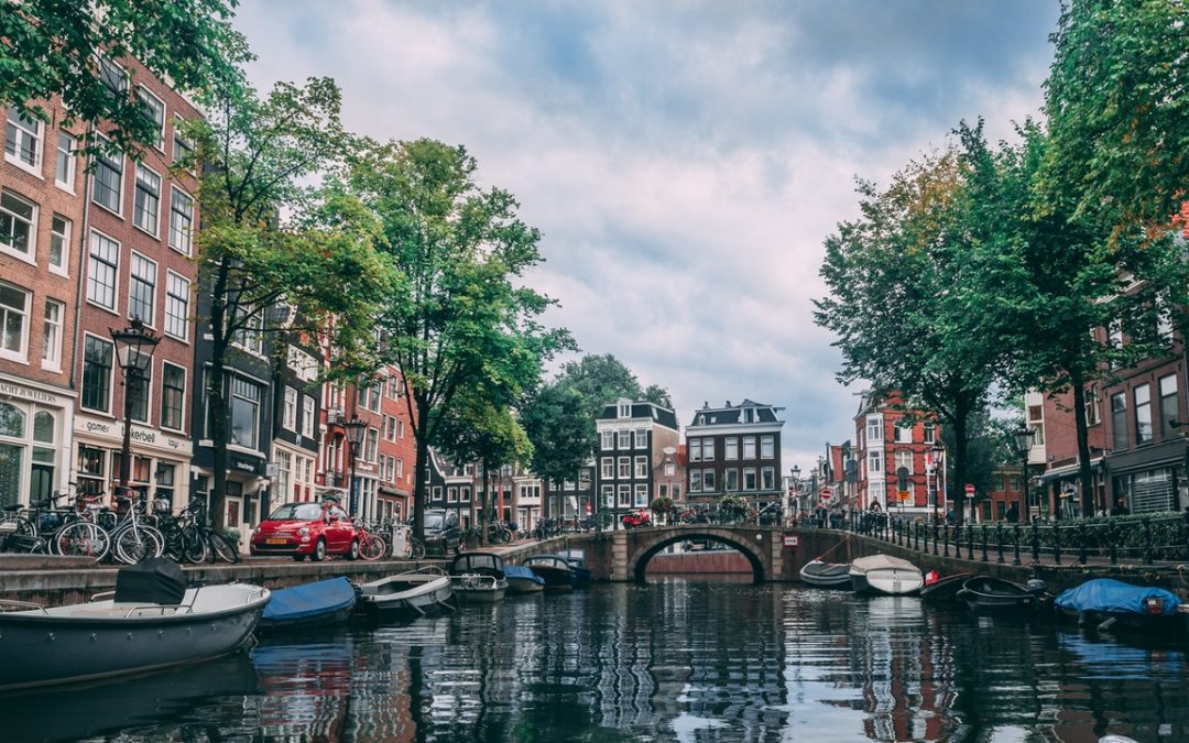Best Online Therapy and Psychologist in Netherlands: The Ultimate Guide