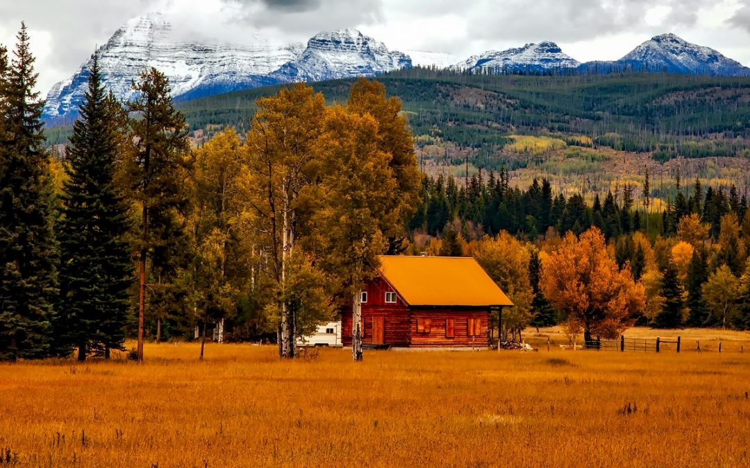 Best Online Therapy and Psychologist in Colorado: The Ultimate Guide