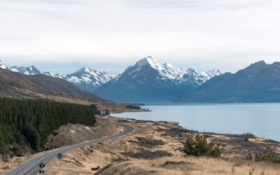 BetterHelp New Zealand, What’s The Cost in NZ?